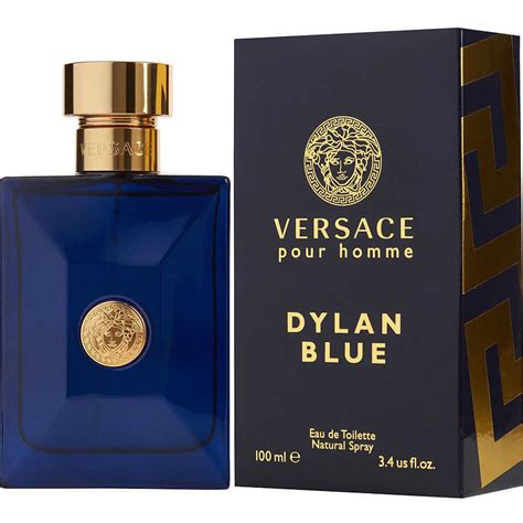 versace dylan blue fragrance notes|perfume Versace Dylan Blue 100ml.